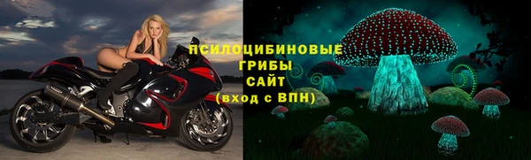 спиды Майский