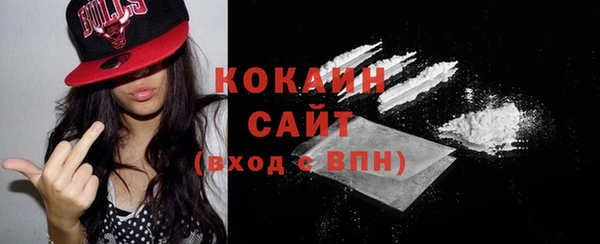 Альфа ПВП Магас