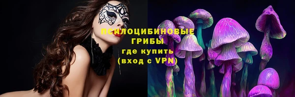 скорость Шали