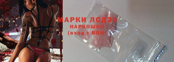 спиды Майский