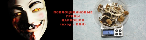 твердый Снежногорск