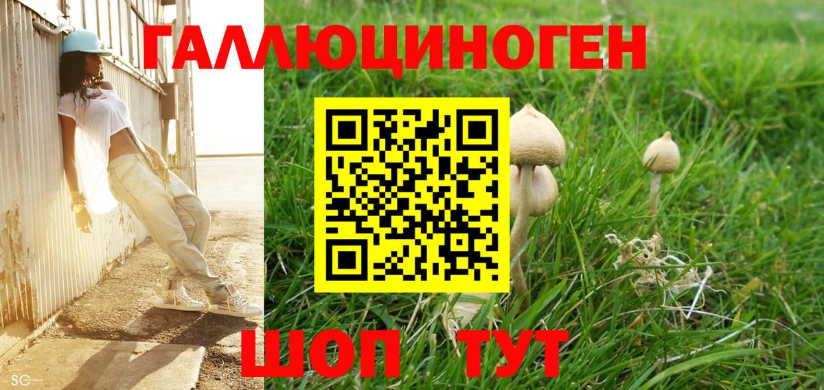 Псилоцибиновые грибы ЛСД Усть-Джегута