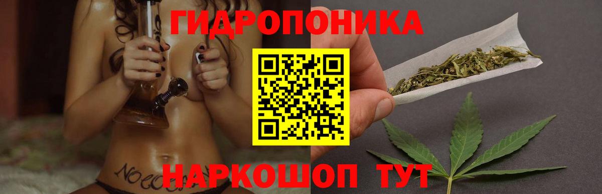 Конопля Amnesia Усть-Джегута